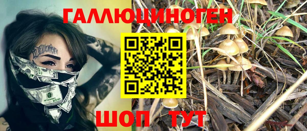 Псилоцибиновые грибы MAGIC MUSHROOMS  Вход с VPN  Галлюциногенные грибы Cubensis  дарнет шоп  Малоярославец 